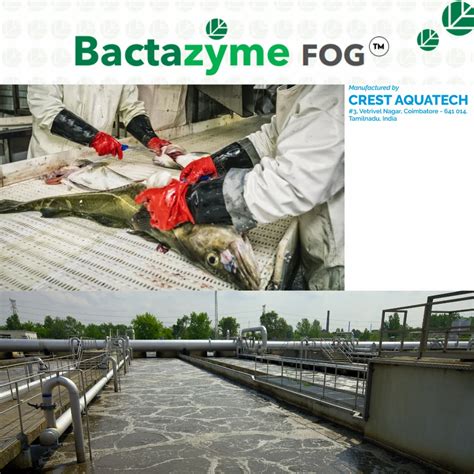 FOOD INDUSTRY WASTEWATER TREATMENT SOLUTIONS - Meat and Chicken ...