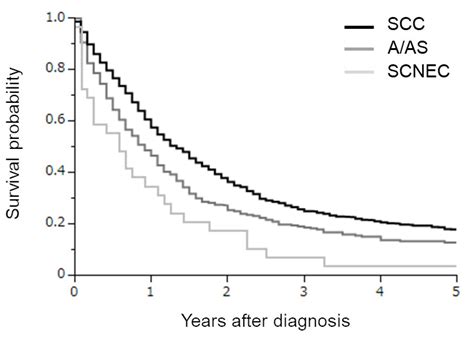 Population-Based Survival Analysis of Stage IVB Small-Cell ...