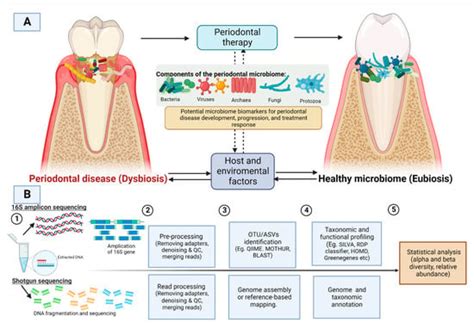 Effect of Periodontal Interventions on Characteristics of the ...