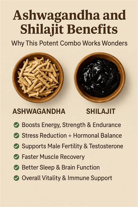 Ashwagandha and Shilajit Benefits: Why This Combo Works?