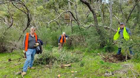 4th Creek Project habitat restoration, Morialta Falls Road Morialta ...
