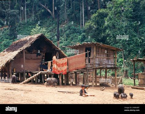 PALAFITO DE UN PUEBLO LAHU. Location: EXTERIOR. BIRMANIA. INDONESIA ...