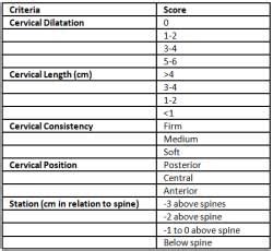 Induction of Labour - Medical Science Optional Notes for UPSC PDF Download