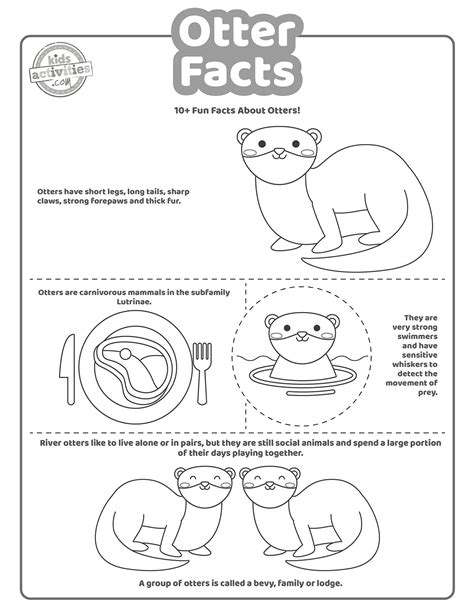 What Is A Sea Otters Habitat For Kids - Infoupdate.org