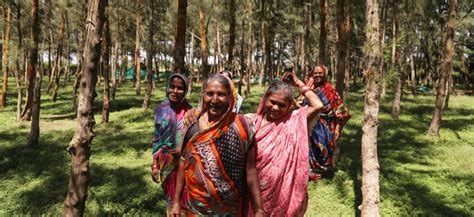 COP27 & India | India's Climate Change Commitments | CEEW