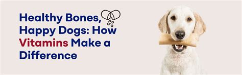 How Do Pet Vitamins Improve Your Dog's Bone Health? – K9 Vitality