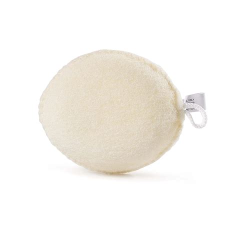 Buy Earth Therapeutics Exfoliating Body Sponge Online at Low Prices in ...