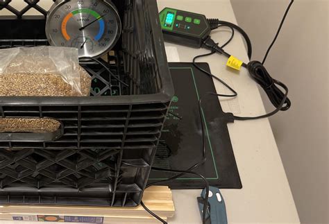 Just innoculated my grain bag in an airbox, set my seedling hest mat at ...