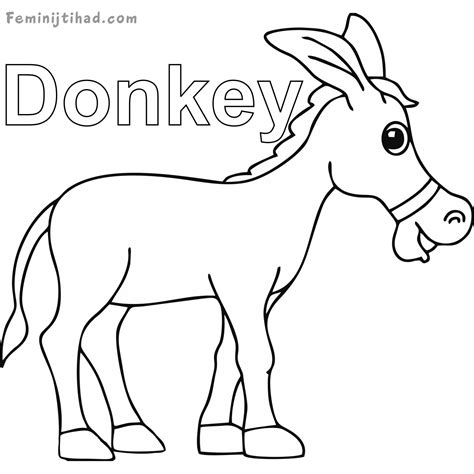 Mammals Coloring Pages Donkeys - all about cute and unique animals