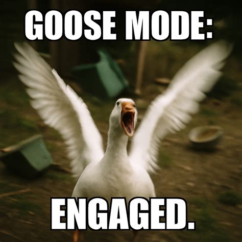 Free and customizeable all annoying goose videos at the same time made ...
