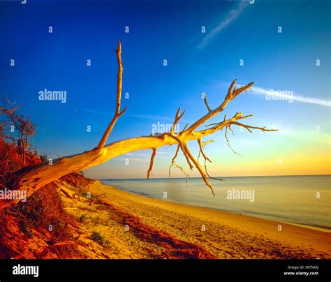 Snag Over Water High Resolution Stock Photography and Images - Alamy