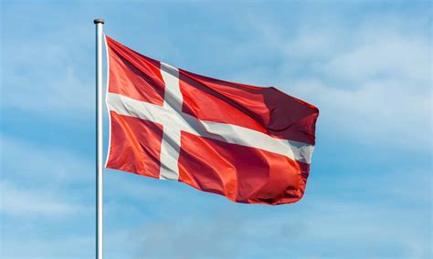 Wildlife in Denmark - Types of Danish Animals - A-Z Animals