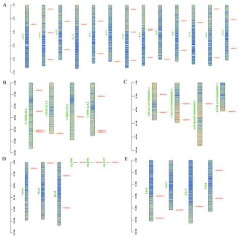 Genome-Wide Identification of the Brassinosteroid Signal Kinase Gene ...
