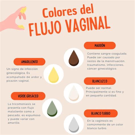 Flujo Con Olor A Pescado: Tratamiento, Causas Y Prevención De La ...