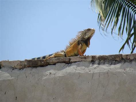 Salinas Images - Vacation Pictures of Salinas, Santa Elena Province ...