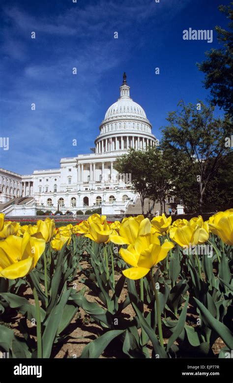 USA Capital City 的图像结果