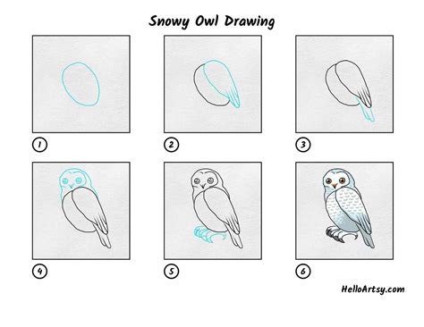 How To Draw A Powerful Owl