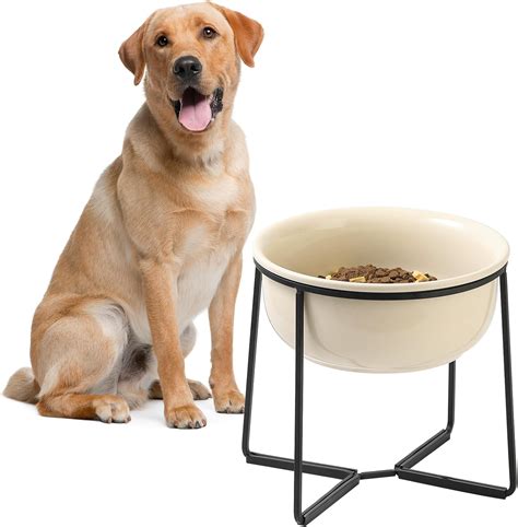Elevated Large Dog Food Bowls - Raised Dog Bowl with Non Slip Stand - Heavy Weighted Ceramic Dog ...