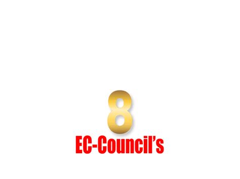 Essentials Program 的图像结果