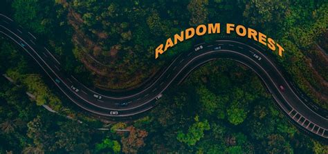 Image result for How to Use Random Forest Classifier in Python