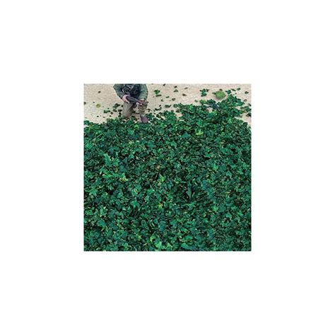 Buy Realistic Miniature Leaves Simulation Leaves for DIY Mini Model ...