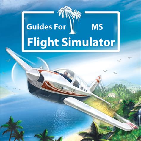 Image result for Tutorial for MS Flight Simulator