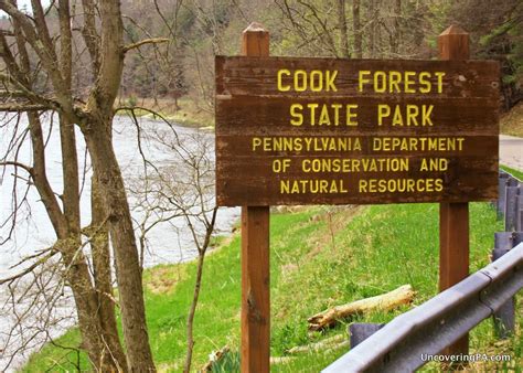 Campgrounds in Cooks Forest PA: Scenic Camping Adventures