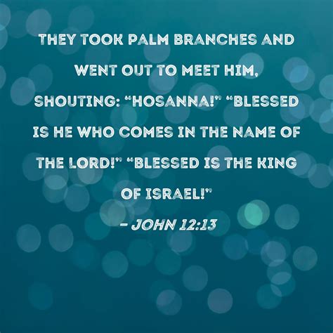 What Is The Meaning Of Hosanna In The Bible at Harold Case blog