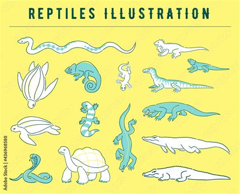Image result for Read Python