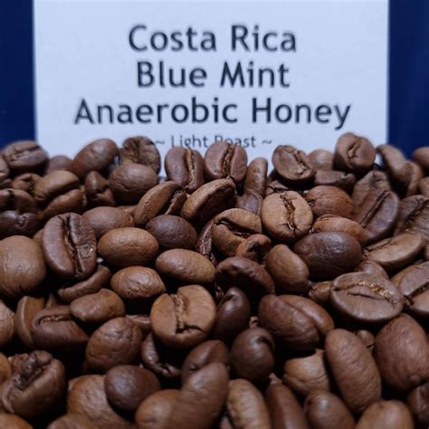 Costa Rica Blue Mint Beans | MISTER LEE'S