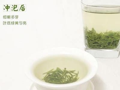 蒙顶雪芽是什么茶 蒙顶山雪芽茶的功效与作用_绿茶的功效与作用_绿茶说