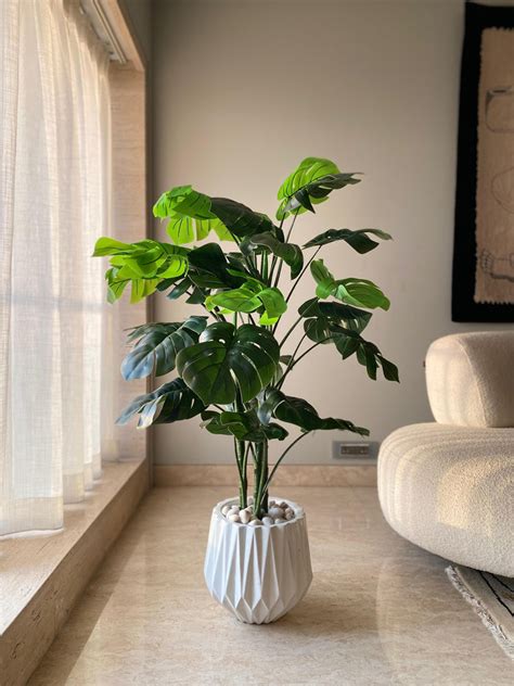 Plants & Planters – Mason Home by Amarsons - Lifestyle & Decor