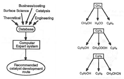 Heterogeneous Catalysis on Metal Oxides
