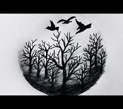 how to draw my eyebrows with a pencil