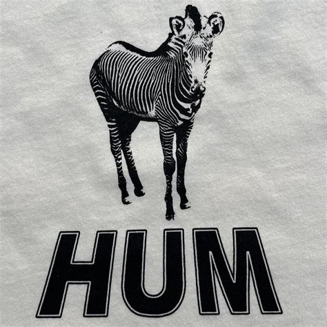 Hum “you’d prefer an astronaut” zebra green and... - Depop