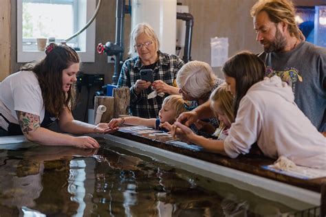 News - The Oceanarium and Education Center