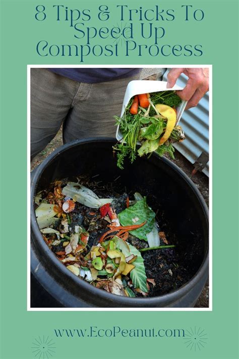 Image result for How to Compost Fast