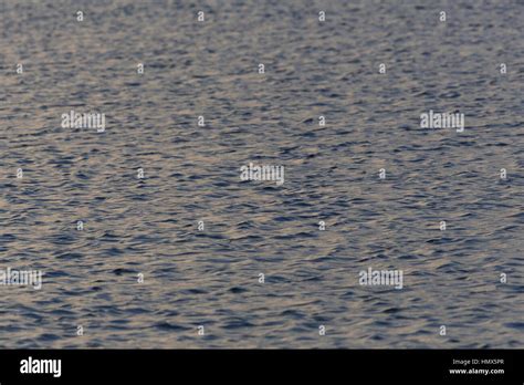 Water Pattern 的图像结果