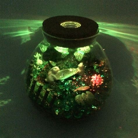 FUNSHOWCASE Round Glass Terrarium Container Bowl Pot with LED Light ...