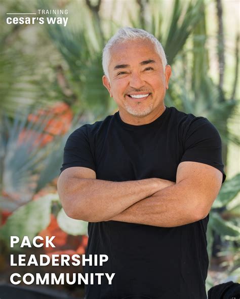 Cesar Millan | 2025 a year that we can collectively wish for Better ...