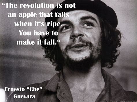 Che Guevara Revolutionary Quotes