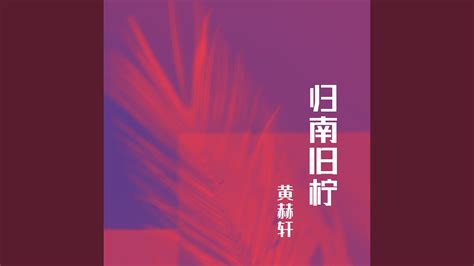 综艺节目《今夜不设防》42集(香港亚视访谈节目)粤语无字/视频合集【百度云网盘下载】 _ 微资源