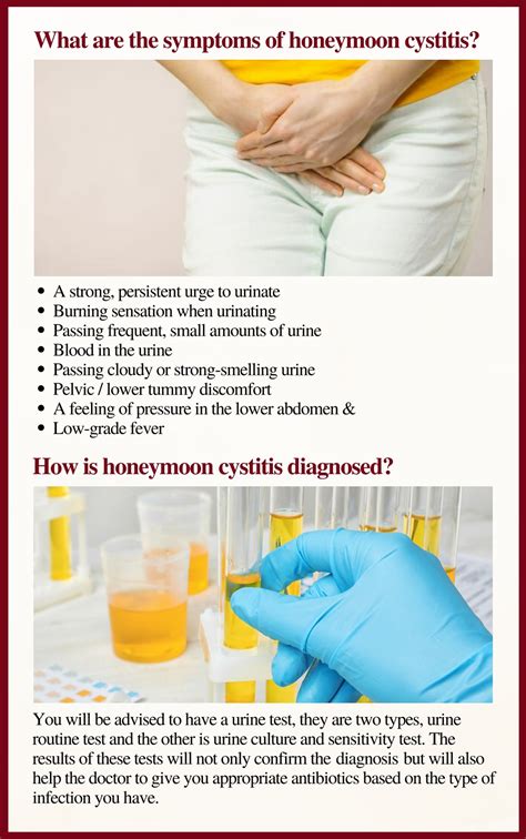 Bladder Infection Honeymoon Cystitis
