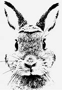 Image result for Rabbit Patterns for Wood