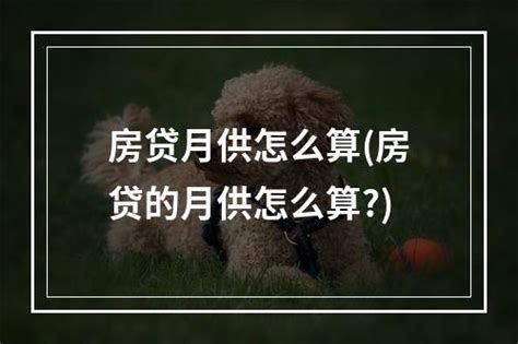 2013年起100万30年期房贷月供减333元 - 搜狐视频