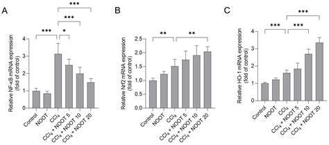 Nootkatone Supplementation Ameliorates Carbon Tetrachloride-Induced ...