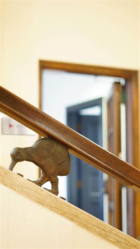 Icona Design 的图像结果