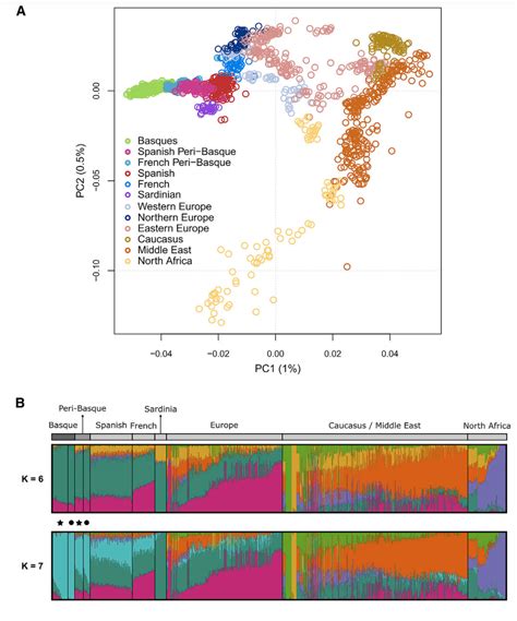 Image result for Basque Genetics