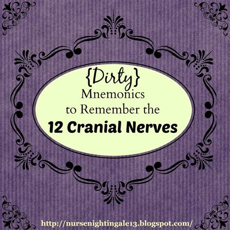 Dirty Cranial Nerve Mnemonics: The Easiest Way to Remember (Plus Clean ...