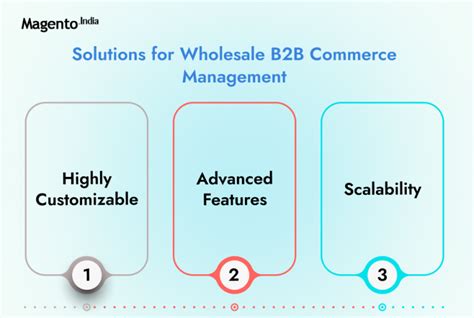 Magento eCommerce Services for B2B and B2C: Complete Guide
